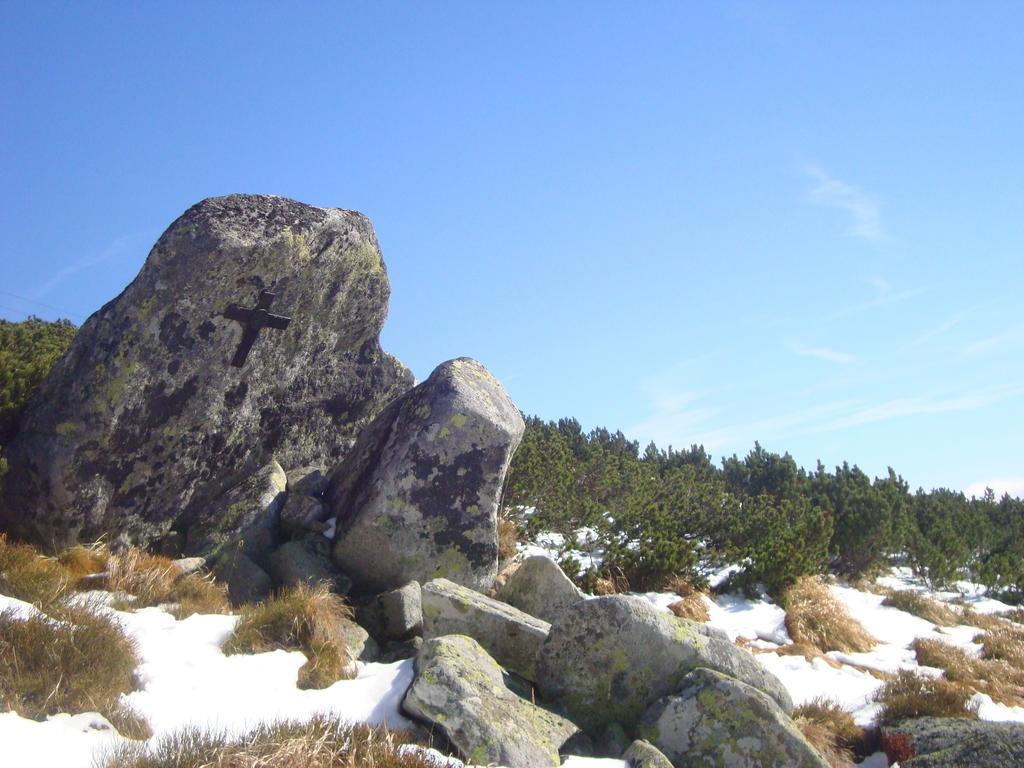 Liptovský Mikuláš Vila Horal מראה חיצוני תמונה